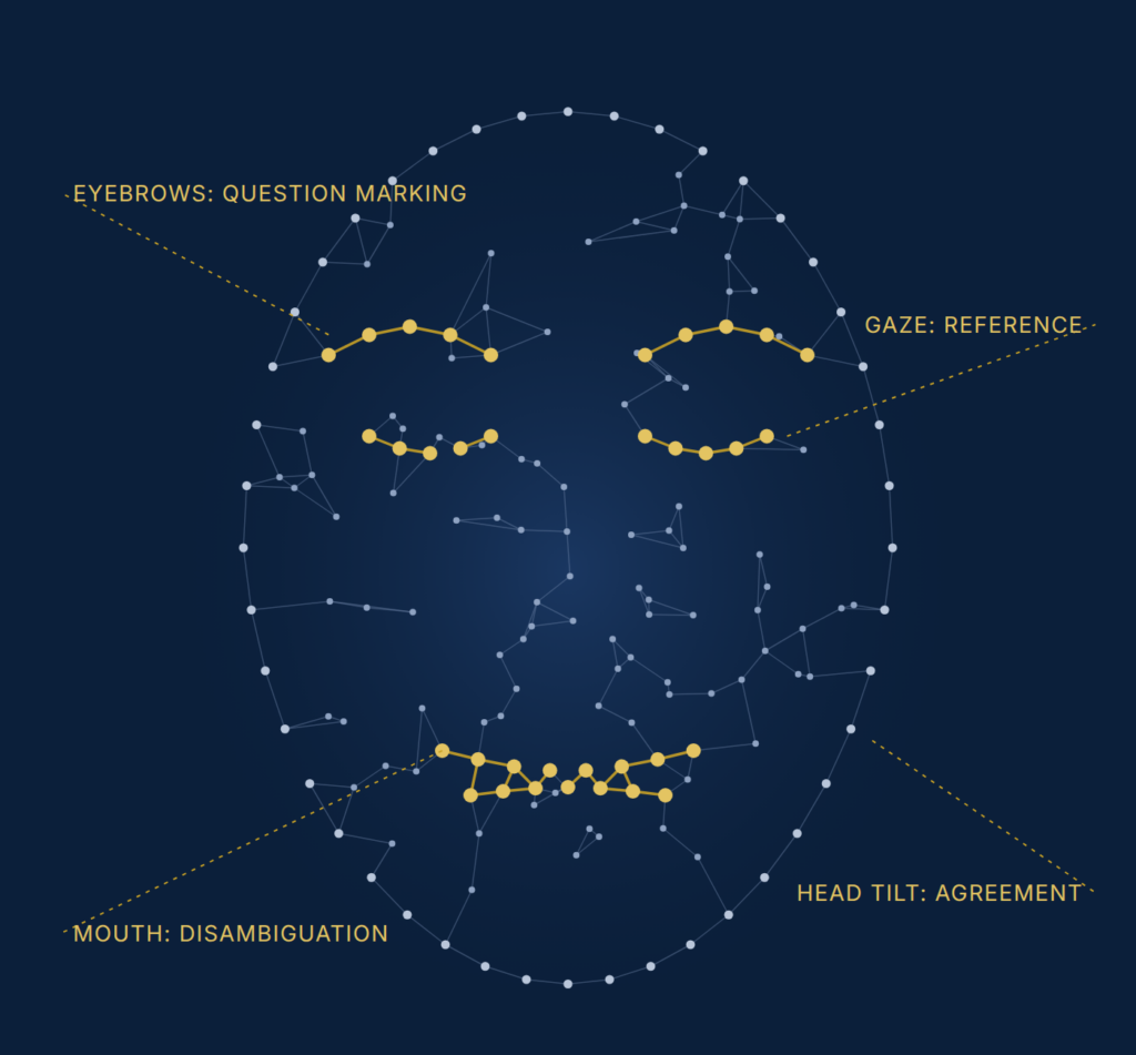 A signer's face drawn as a constellation of points, with the eyebrows, eyes and mouth lit in gold to show where the grammar of a signed language is carried