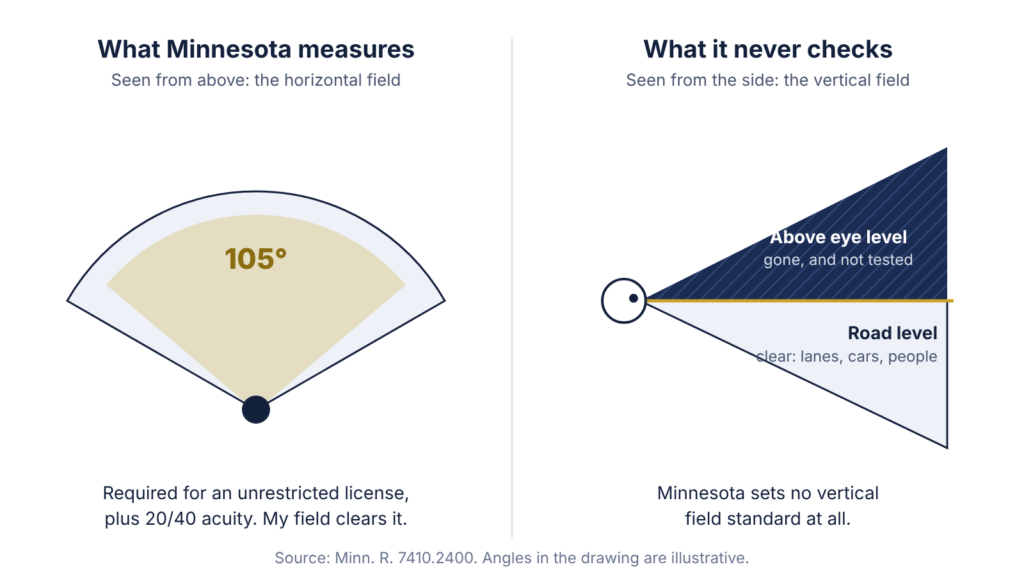 Left: a top-down fan showing the 105 degree horizontal field Minnesota requires. Right: a side view of an eye, with a dark wedge above eye level marked not tested and a clear wedge below marked road level.